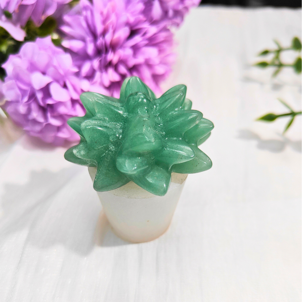 green aventurine succulent