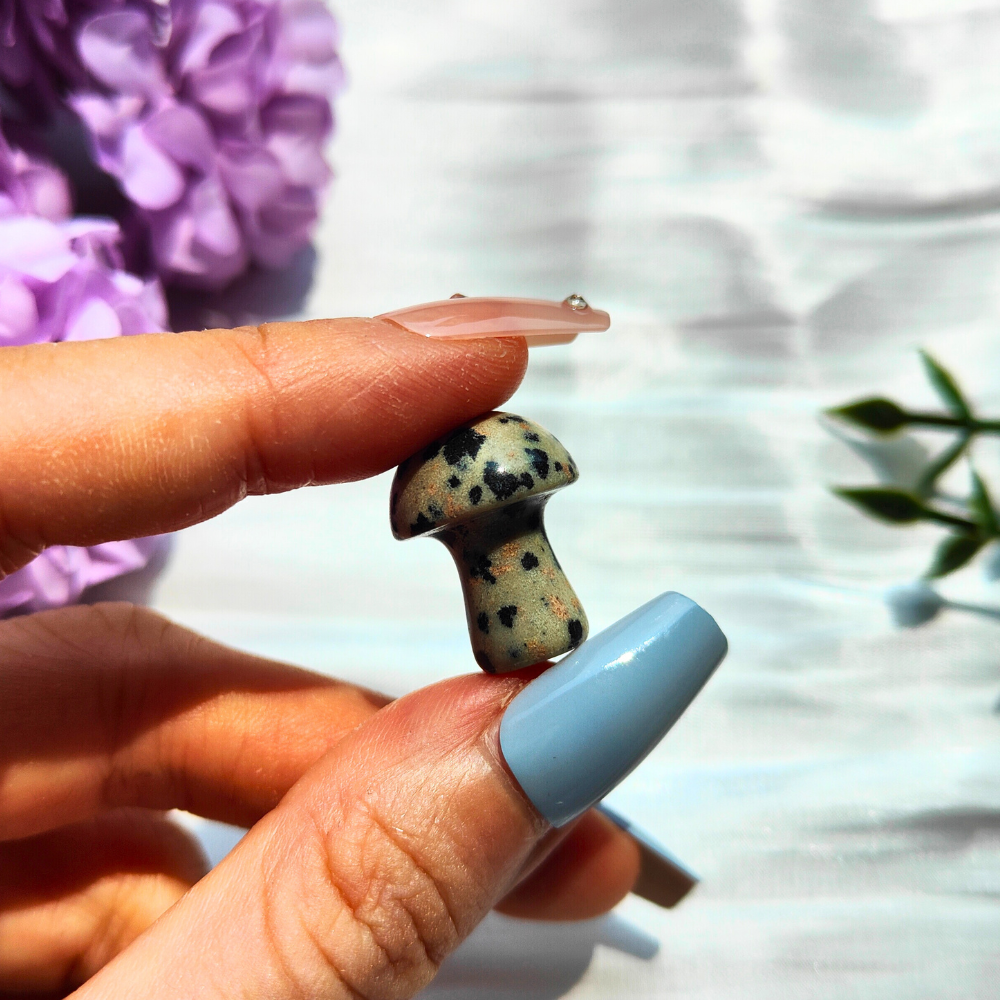 dalmatian jasper mushroom