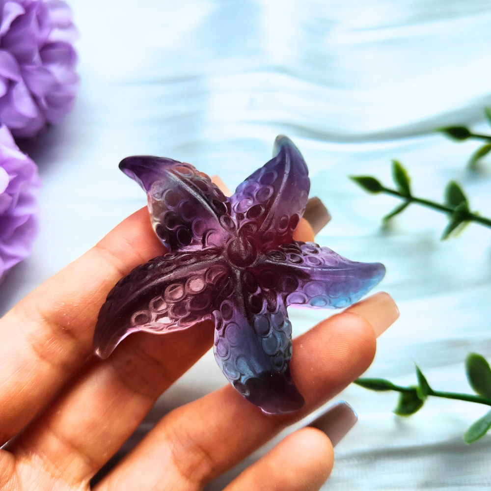 purple fluorite starfish